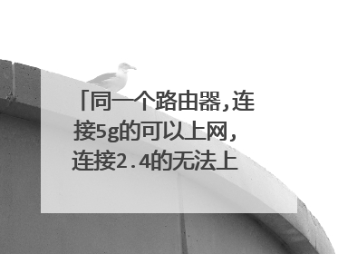 同一个路由器,连接5g的可以上网,连接2.4的无法上网是什么原因