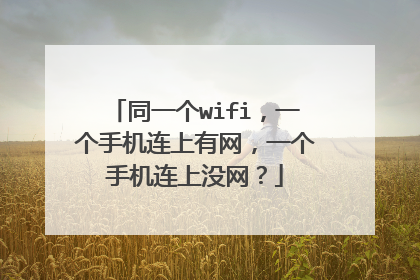 同一个wifi,一个手机连上有网,一个手机连上没网?