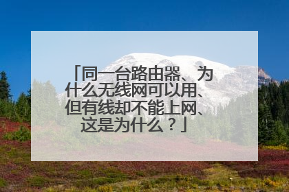 同一台路由器、为什么无线网可以用、但有线却不能上网、这是为什么？