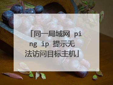 同一局域网 ping ip 提示无法访问目标主机