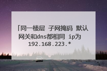 同一楼层 子网掩码 默认网关和dns都相同 ip为192.168.223.*的两台机子 为什么ping不通 servu也不能用