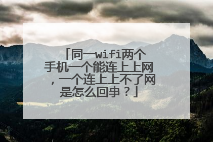 同一wifi两个手机一个能连上上网，一个连上上不了网是怎么回事？