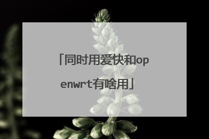 同时用爱快和openwrt有啥用
