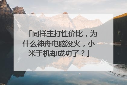 同样主打性价比，为什么神舟电脑没火，小米手机却成功了？