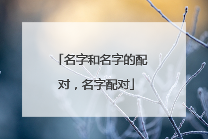 名字和名字的配对,名字配对