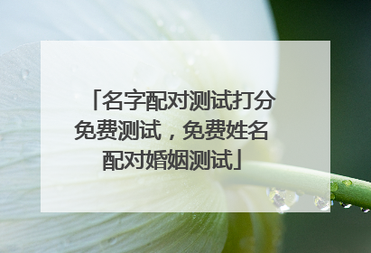 名字配对测试打分免费测试，免费姓名配对婚姻测试