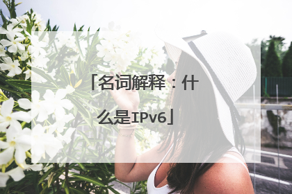 名词解释：什么是IPv6