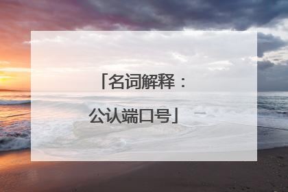 名词解释:公认端口号