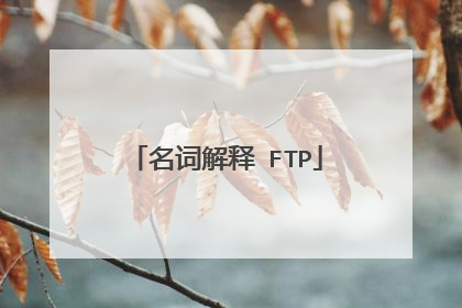 名词解释 FTP