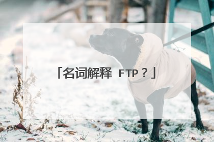名词解释 FTP？