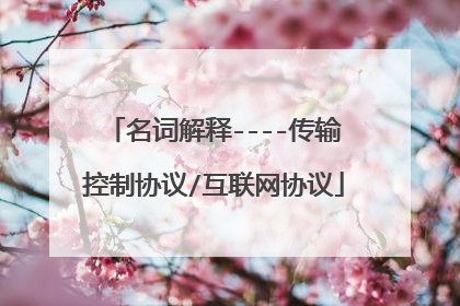 名词解释----传输控制协议/互联网协议