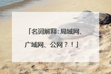 名词解释:局域网、广域网、公网？！