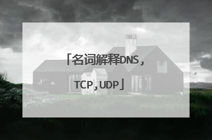 名词解释DNS,TCP,UDP
