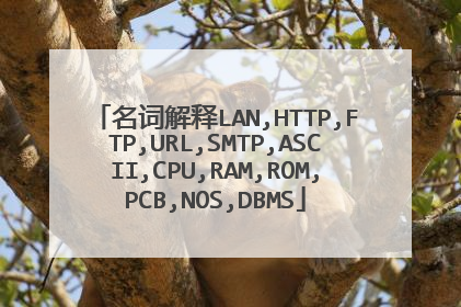 名词解释LAN,HTTP,FTP,URL,SMTP,ASCII,CPU,RAM,ROM,PCB,NOS,DBMS