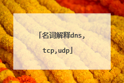 名词解释dns,tcp,udp