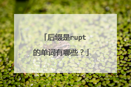后缀是rupt的单词有哪些?
