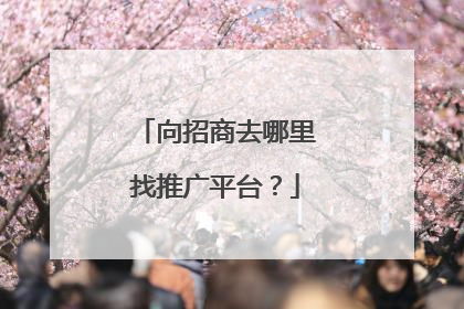 向招商去哪里找推广平台?
