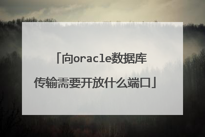 向oracle数据库传输需要开放什么端口