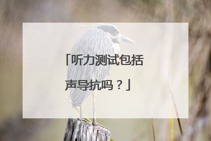 听力测试包括声导抗吗?