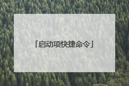 启动项快捷命令