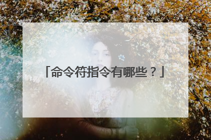 命令符指令有哪些?