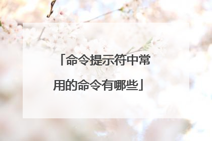 命令提示符中常用的命令有哪些