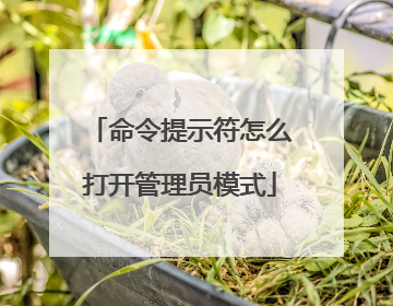 命令提示符怎么打开管理员模式