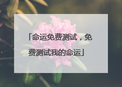命运免费测试,免费测试我的命运