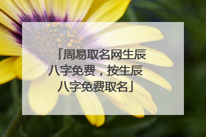 周易取名网生辰八字免费，按生辰八字免费取名