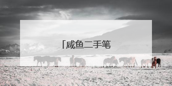 咸鱼二手笔记本 亮点