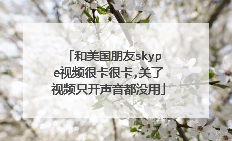 和美国朋友skype视频很卡很卡,关了视频只开声音都没用