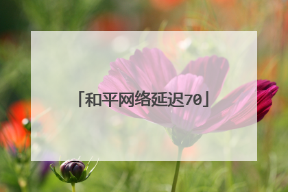 和平网络延迟70
