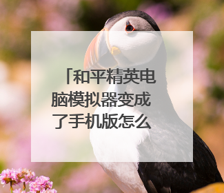 和平精英电脑模拟器变成了手机版怎么恢复