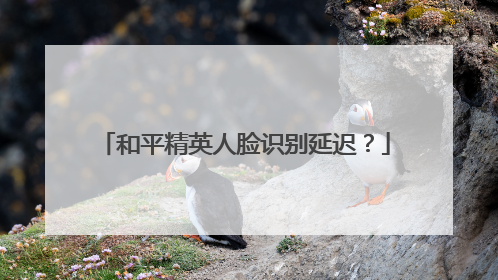 和平精英人脸识别延迟？