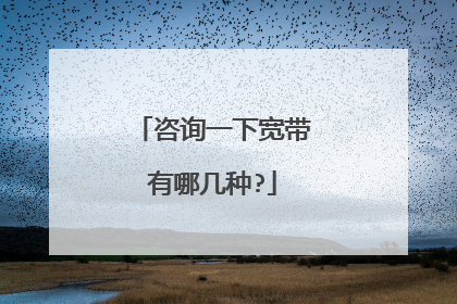咨询一下宽带有哪几种?