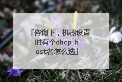 咨询下,机器设置时有个dhcp host名怎么选