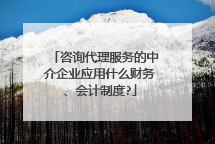 咨询代理服务的中介企业应用什么财务、会计制度?