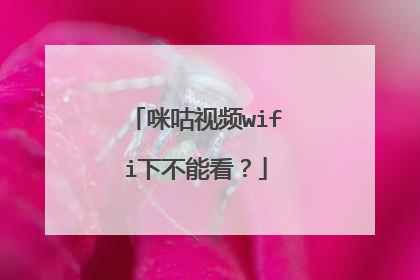 咪咕视频wifi下不能看?