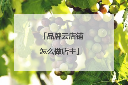 品牌云店铺怎么做店主