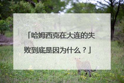 哈姆西克在大连的失败到底是因为什么？