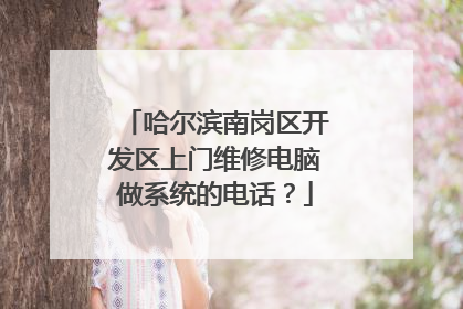 哈尔滨南岗区开发区上门维修电脑做系统的电话？
