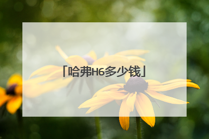 哈弗H6多少钱