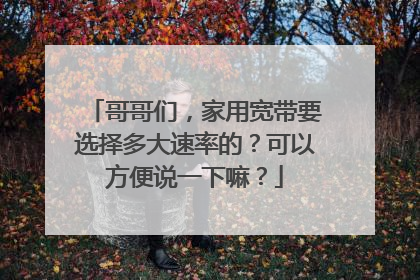 哥哥们，家用宽带要选择多大速率的？可以方便说一下嘛？