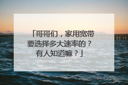 哥哥们,家用宽带要选择多大速率的?有人知道嘛?