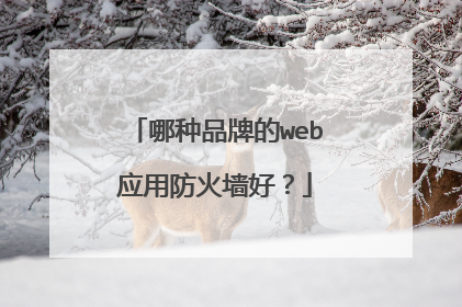 哪种品牌的web应用防火墙好？