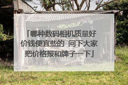 哪种数码相机质量好 价钱便宜些的 问下大家把价格报和牌子一下