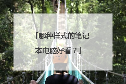 哪种样式的笔记本电脑好看?