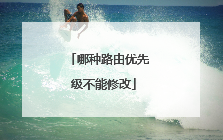 哪种路由优先级不能修改