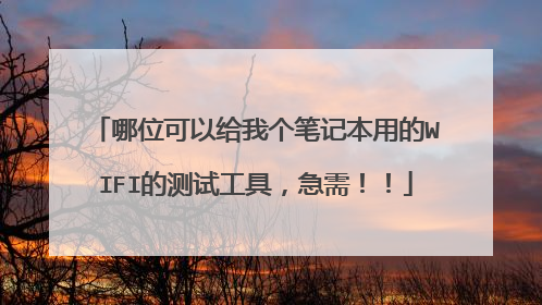 哪位可以给我个笔记本用的WIFI的测试工具，急需！！