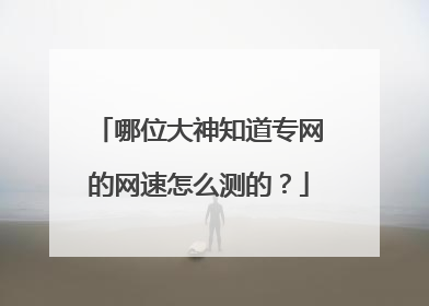 哪位大神知道专网的网速怎么测的？